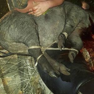 Meet your Posher, Raymond